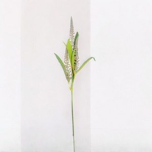 Rama VERONICA Artificial 59cm