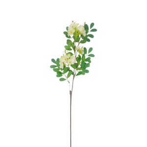 Rama flor CASSIA Blanca 74cm