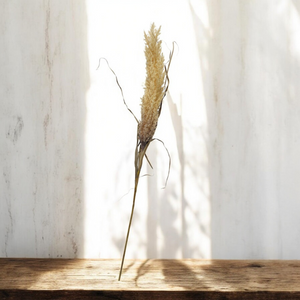 Pampa Artificial CREMA
