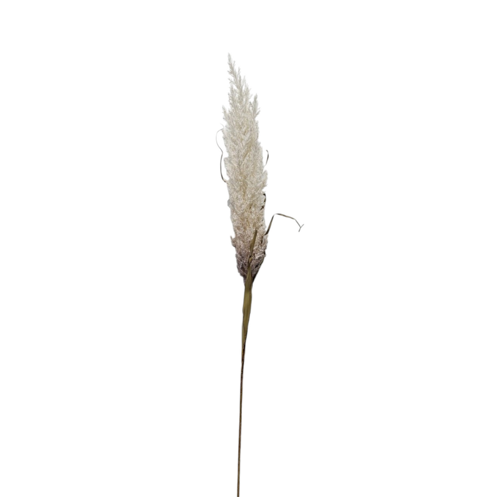 Pampa Artificial BLANCO