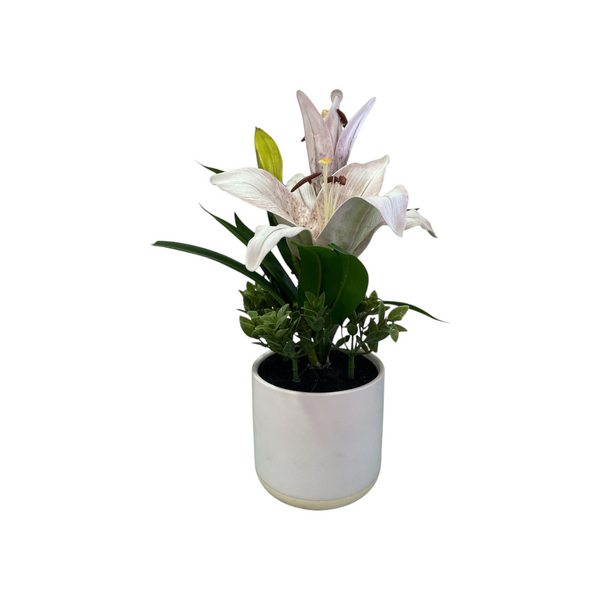 Arreglo Floral LIRIO BLANCO