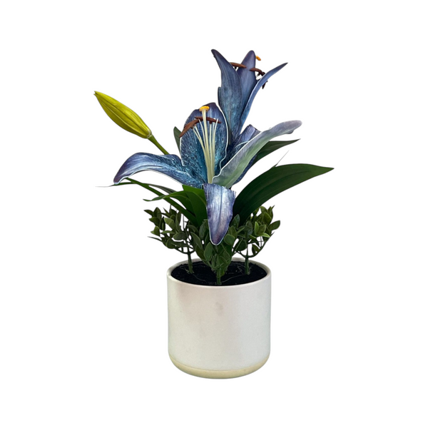 Arreglo Floral LIRIO CELESTE