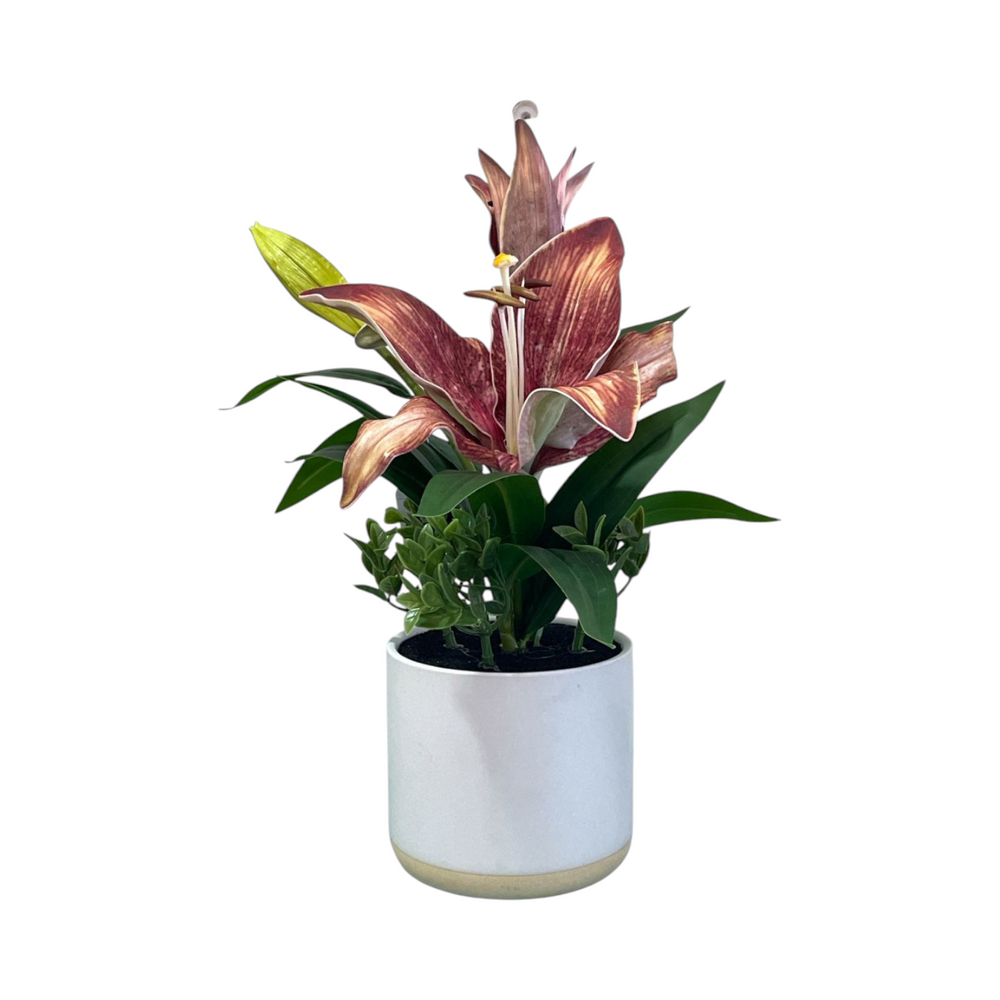 Arreglo Floral LIRIO MARRÓN