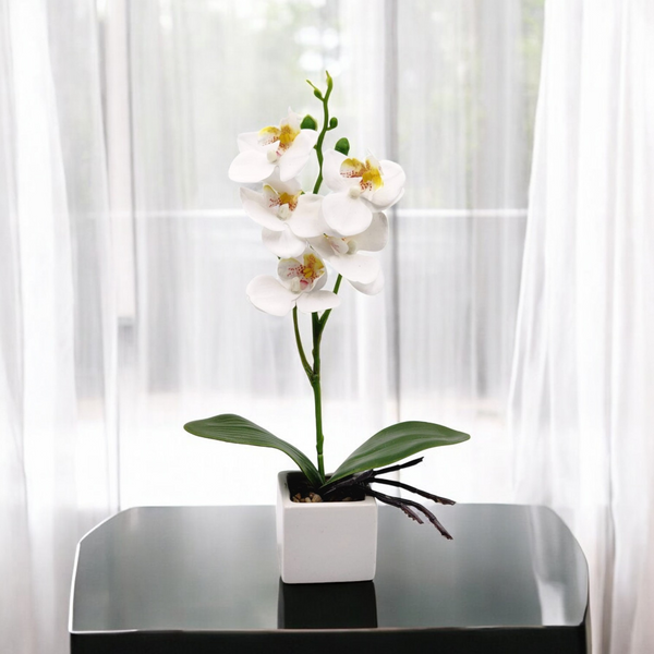 Mini Orquidea BLANCA