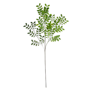 Eucalipto Látex Verde Oscuro