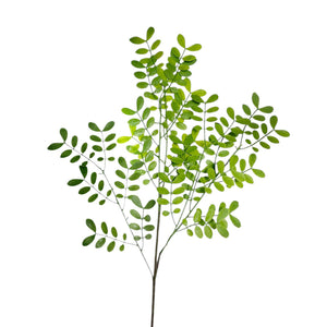 Eucalipto Látex Verde Oscuro