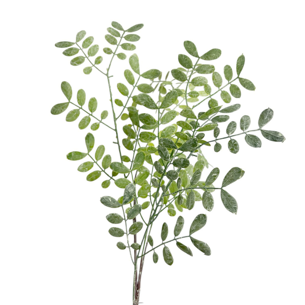 Eucalipto Látex Verde Claro