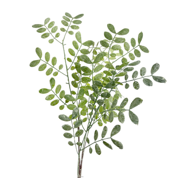 Eucalipto Látex Verde Claro