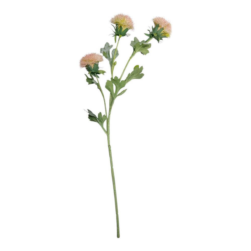 Crisantemo PALO ROSA