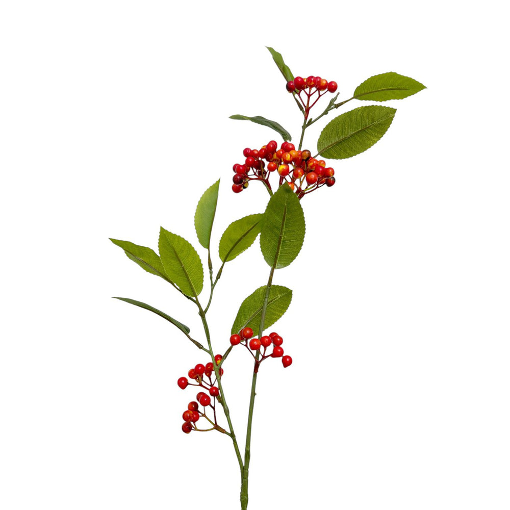 Rama Berries NARANJA