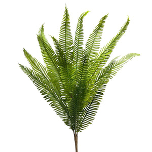 Helecho de Espada VERDE