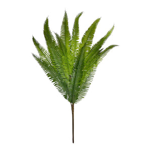 Helecho de Espada VERDE