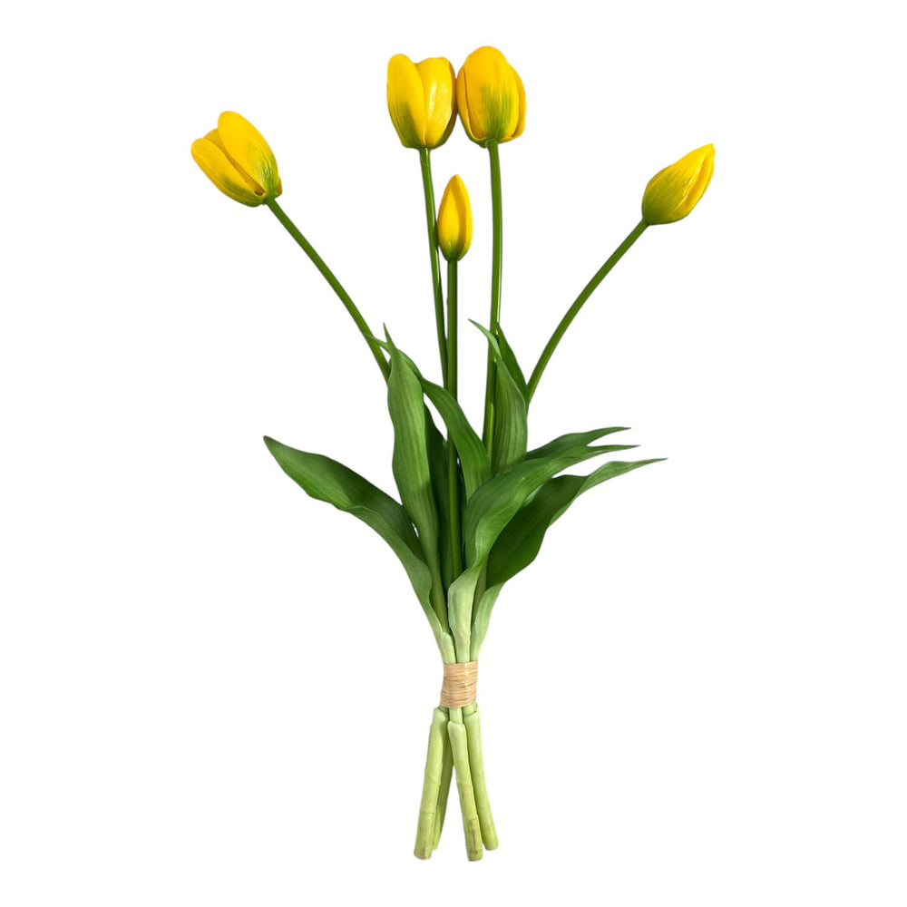 TULIPAN X 5 AMARILLO