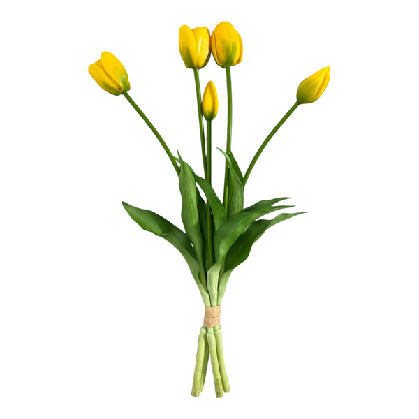 TULIPAN X 5 AMARILLO