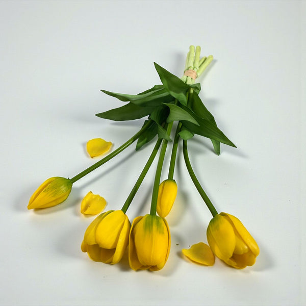 TULIPAN X 5 AMARILLO