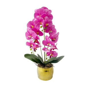 Orquídea Fucsia y Dorado ZULA