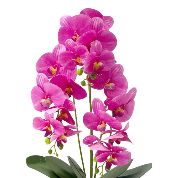 Orquídea Fucsia y Dorado ZULA