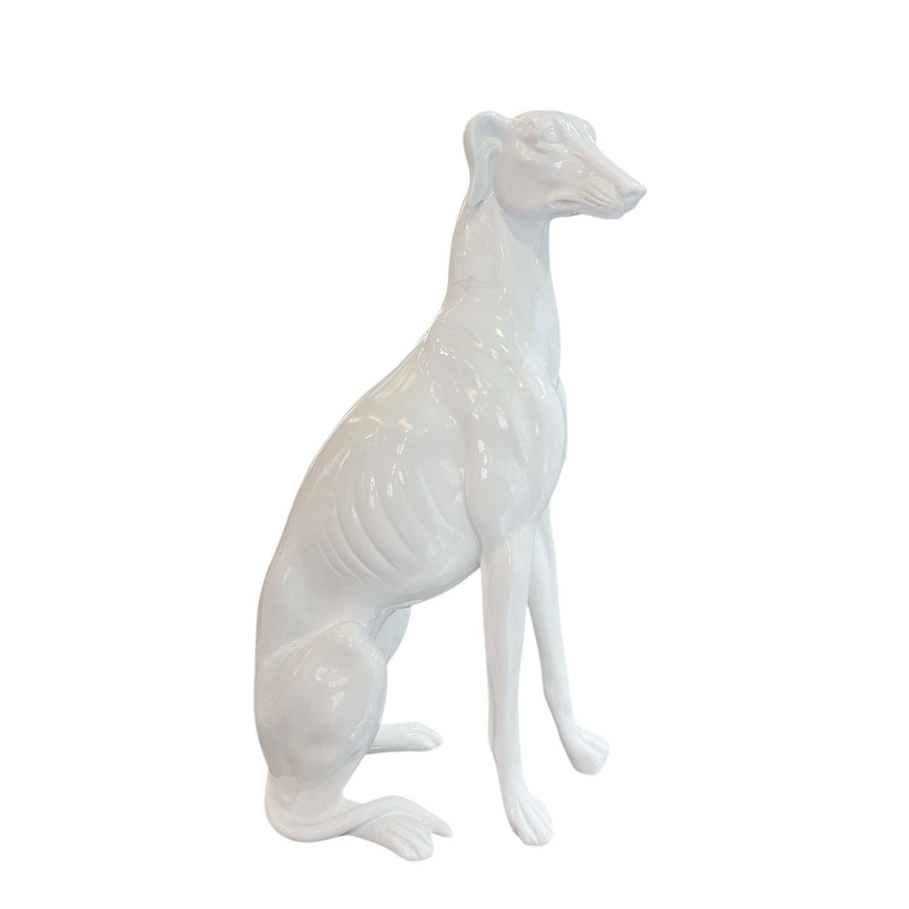 PERRO BLANCO