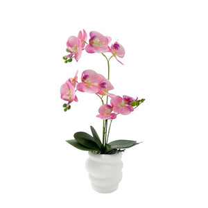 Orquídea ROSADA NUBA