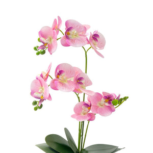 Orquídea ROSADA NUBA