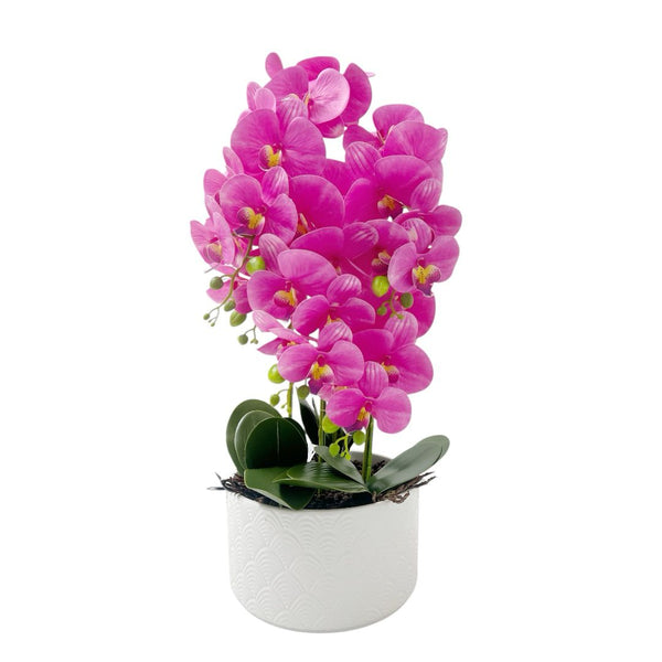 Orquídea Fucsia OKIRA
