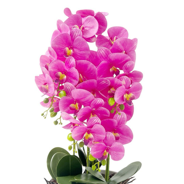 Orquídea Fucsia OKIRA
