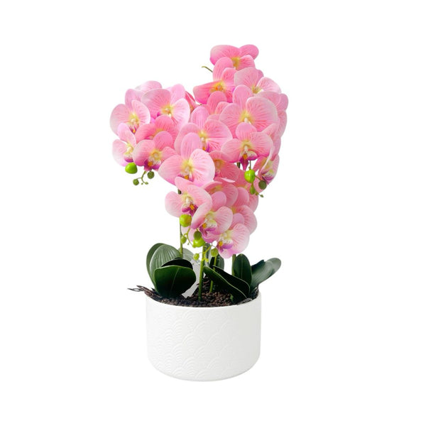 Orquídea ROSADA OKIRA