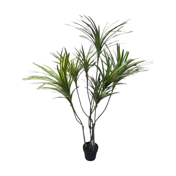 Planta Artificia DRACAENA MARGINATA