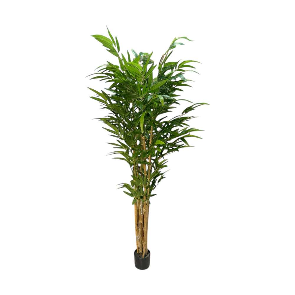 Bambu Artificial VERDE SERENO 180 cm