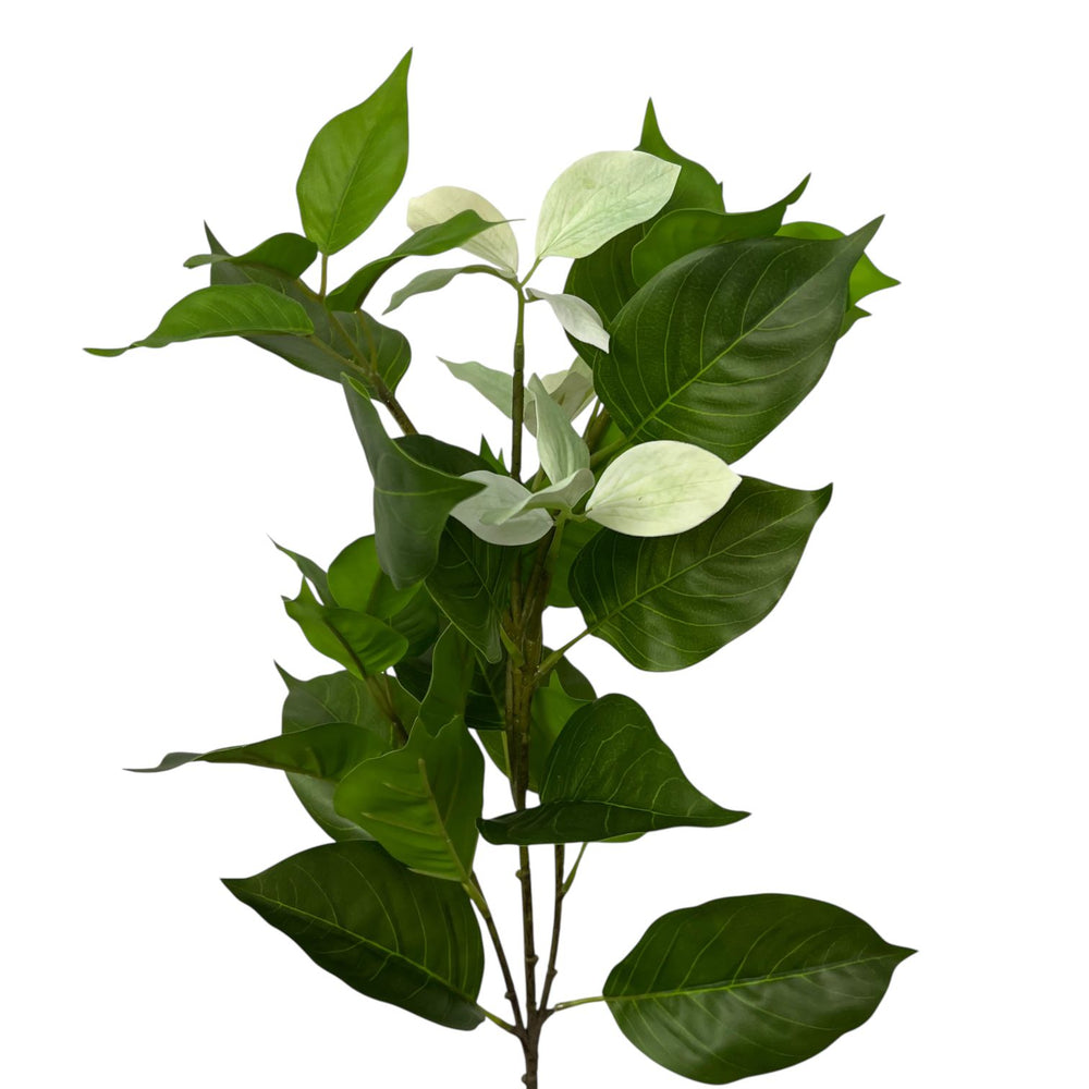 Rama Artificial MUSSAENDA BLANCA