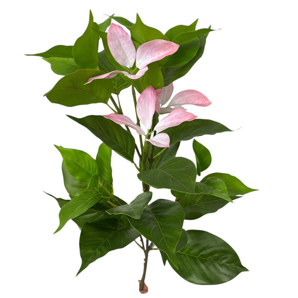 Rama Artificial MUSSAENDA ROSA