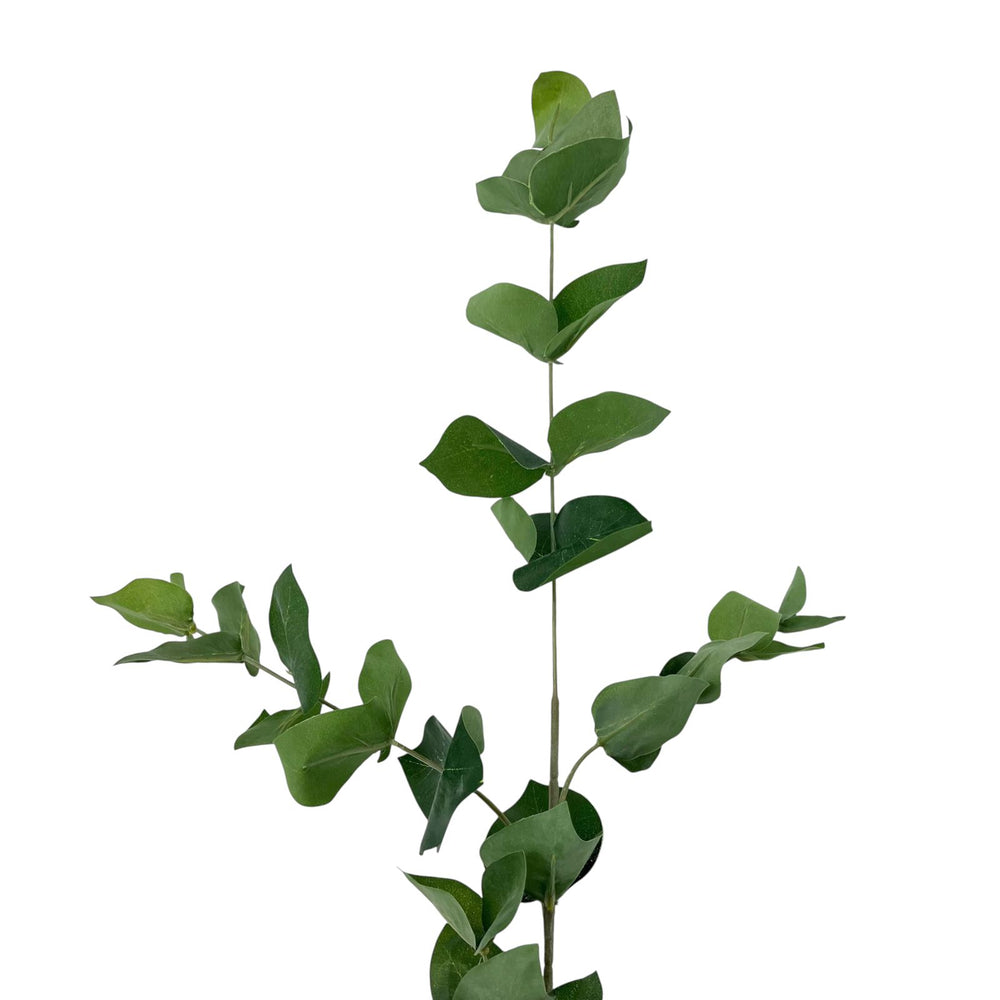 Rama Artificial EUCALIPTO