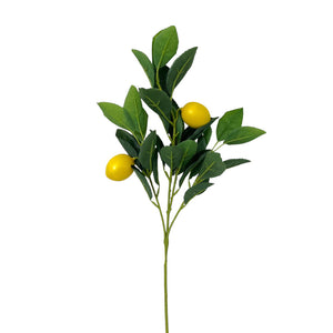 Rama Artificial LIMON