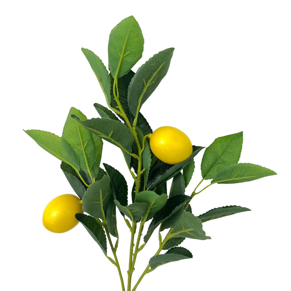 Rama Artificial LIMON