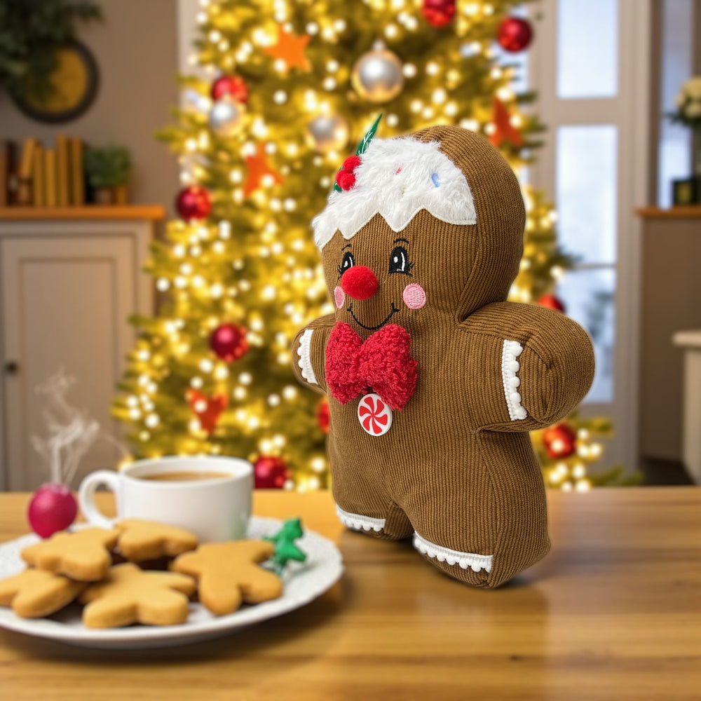 Niño Galleta de Jengibre