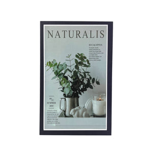 Libro Decorativo NATURALIS