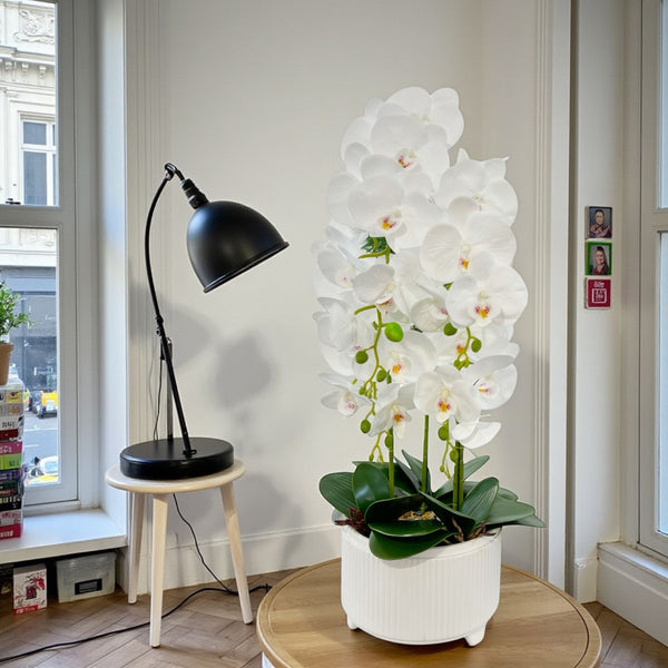 ORQUIDEA ALMA BLANCA A