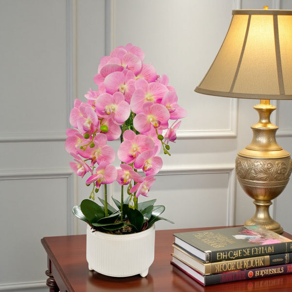 ORQUIDEA ALMA ROSADA