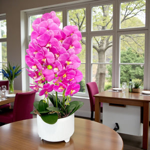 ORQUIDEA ALMA FUCSIA