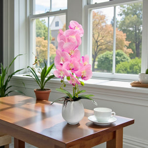 ORQUIDEA NOVA ROSADA