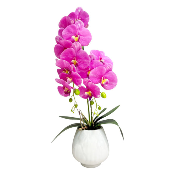 ORQUIDEA NOVA FUCSIA