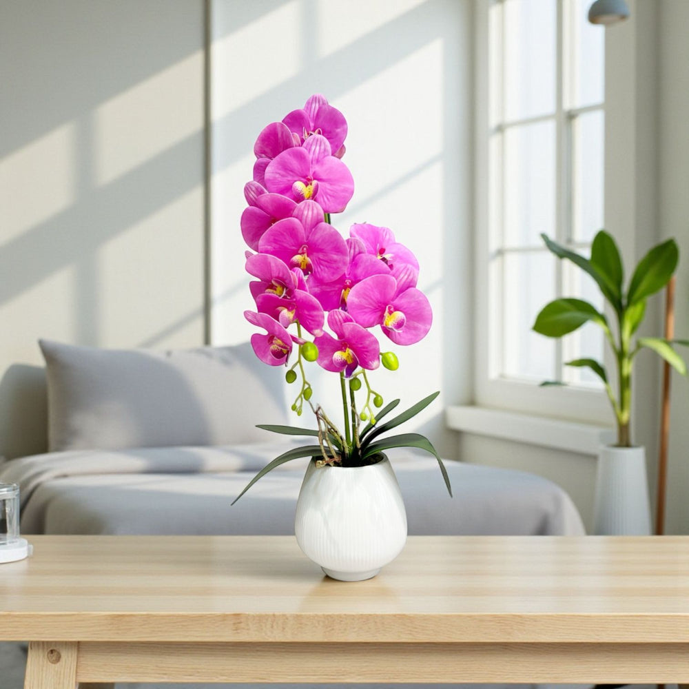 ORQUIDEA NOVA FUCSIA