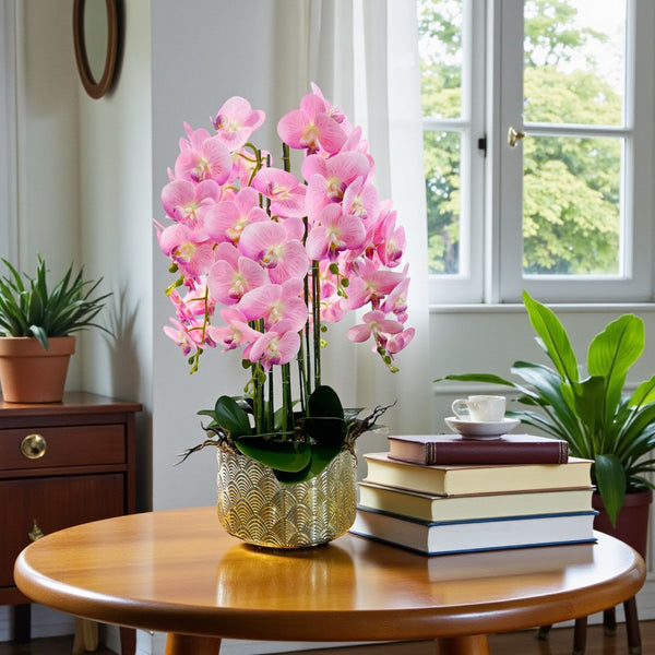 ORQUIDEA SELVA ROSADA