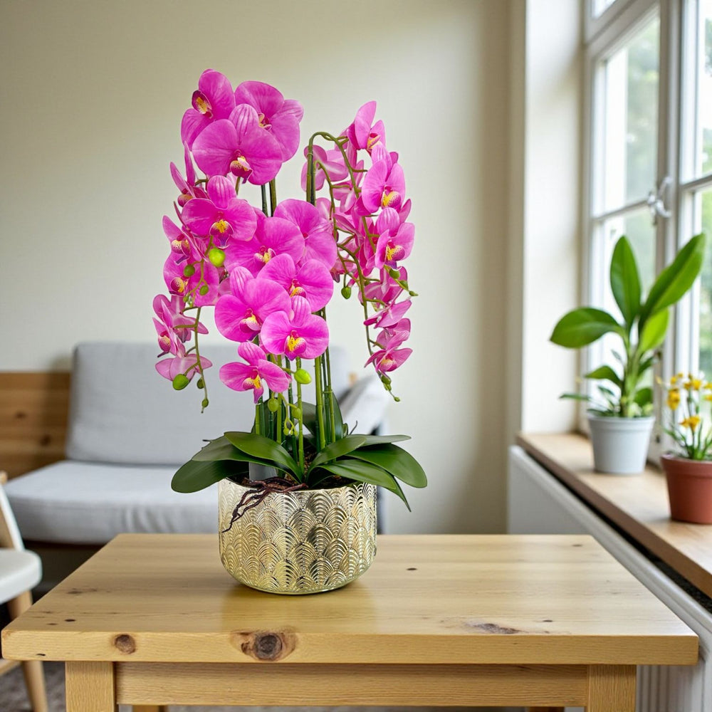 ORQUIDEA SELVA FUCSIA