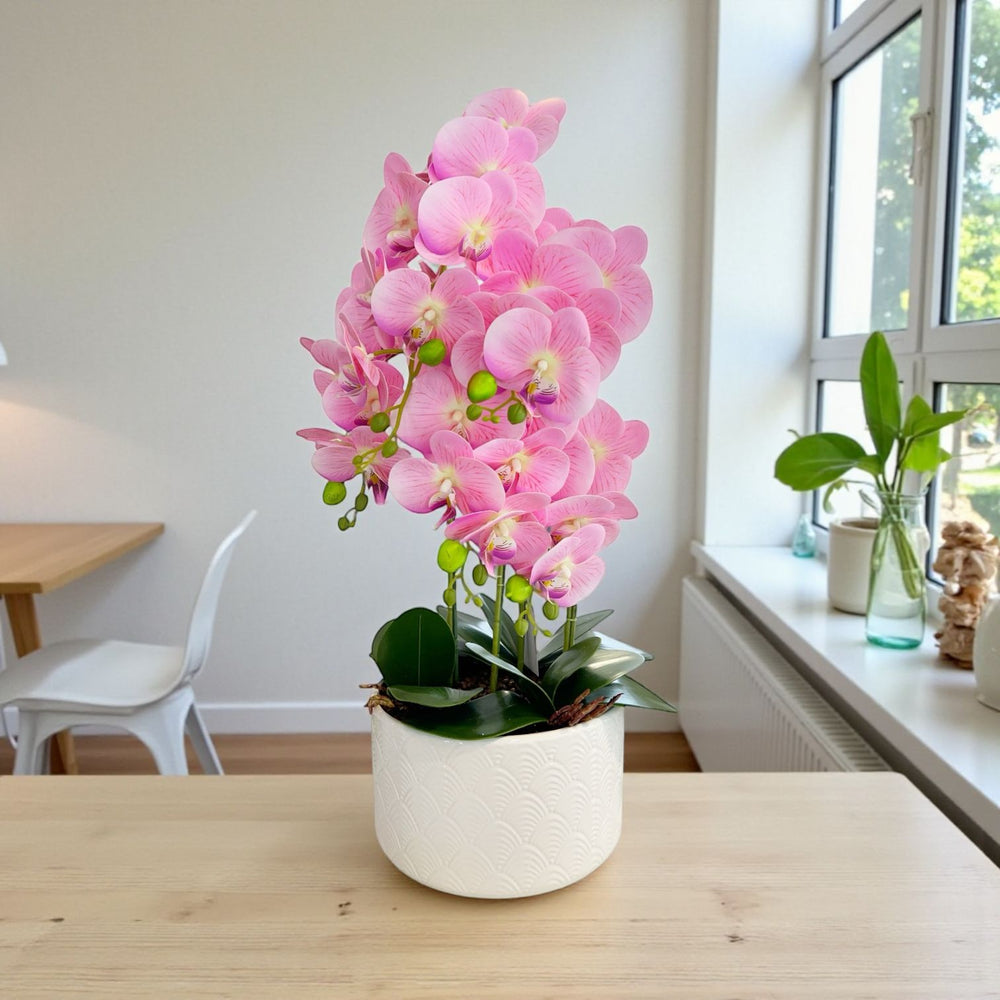 ORQUIDEA OKIRA ROSADA