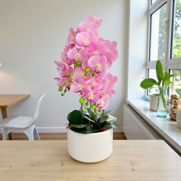 ORQUIDEA OKIRA ROSADA