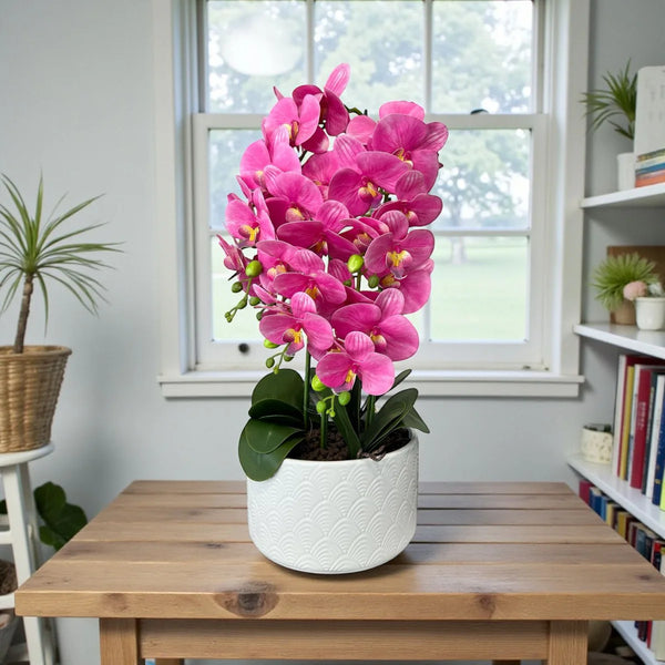 Orquidea Fucsia LLUVIA