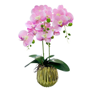 ORQUIDEA IKAI ROSADA