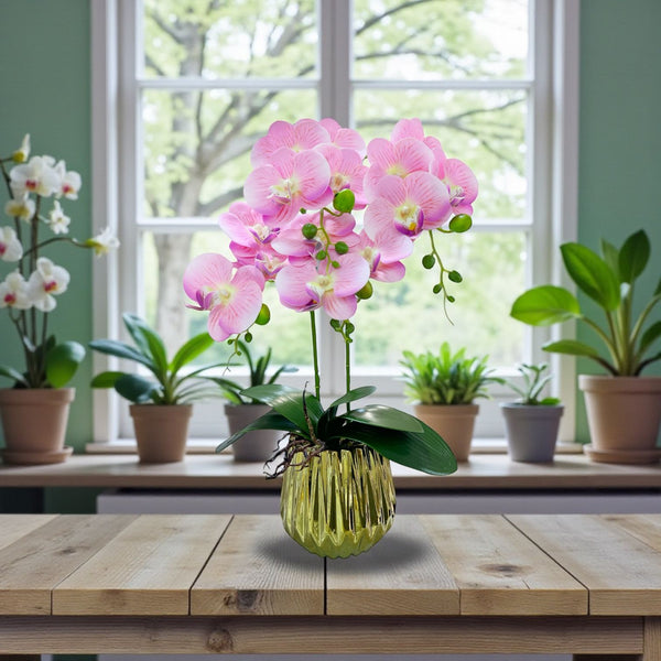 ORQUIDEA IKAI ROSADA