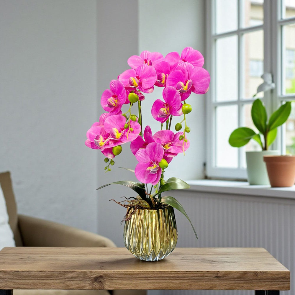 ORQUIDEA IKAI FUCSIA